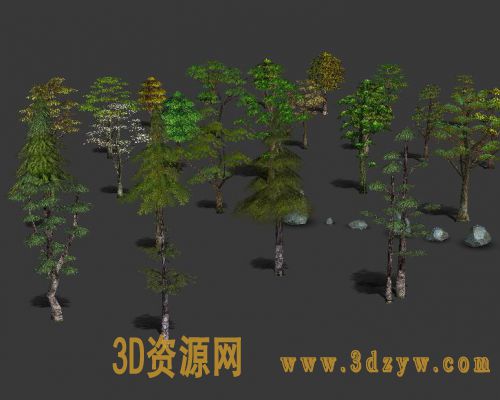 树木植物石头