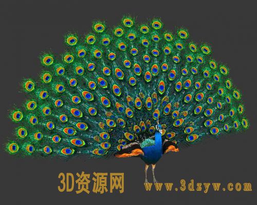 /Uploads/Images/2017-05-05/file_works_590c3291e1d8d.jpg