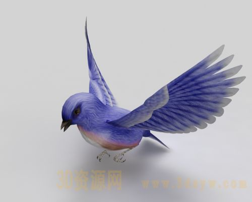 小鸟