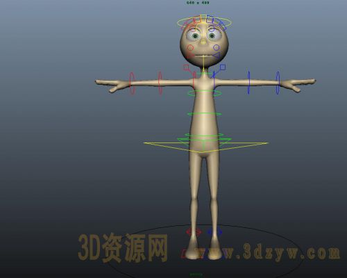 动画模型