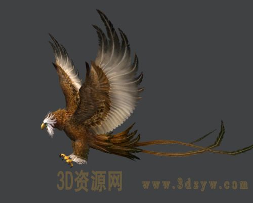 鹰
