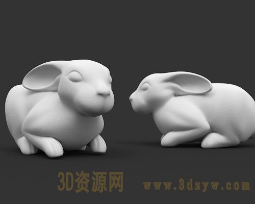 兔子模型