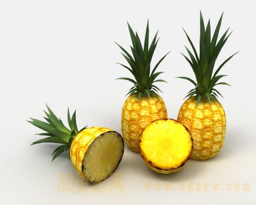 菠萝3D模型 水果