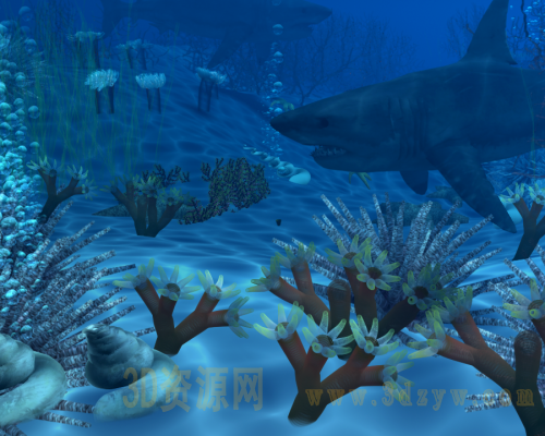 海底珊瑚 鲨鱼自然场景