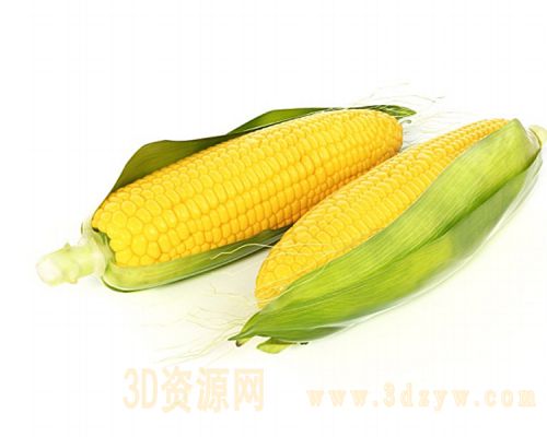 /Uploads/Images/2018-07-27/file_works_5b5abcab1f316.jpg