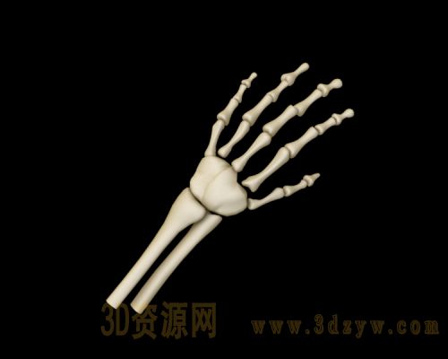 /Uploads/Images/2019-12-07/3dzyw_works_5deba1c6dab5c.jpg