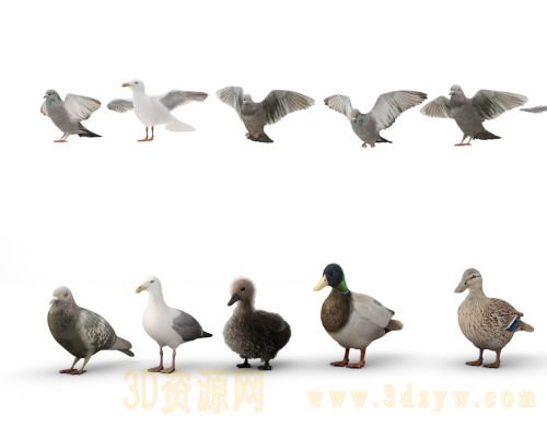 /Uploads/Images/2020-01-07/3dzyw_works_5e13fceea9eaf.jpg