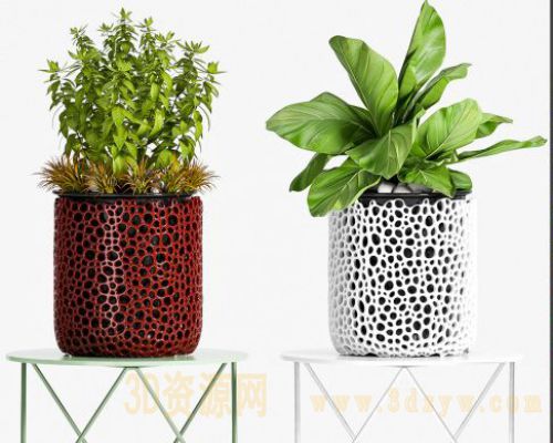 植物盆景绿植模型 绿植盆栽 植物模型
