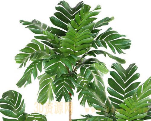 现代北欧植物盆栽绿植花盆