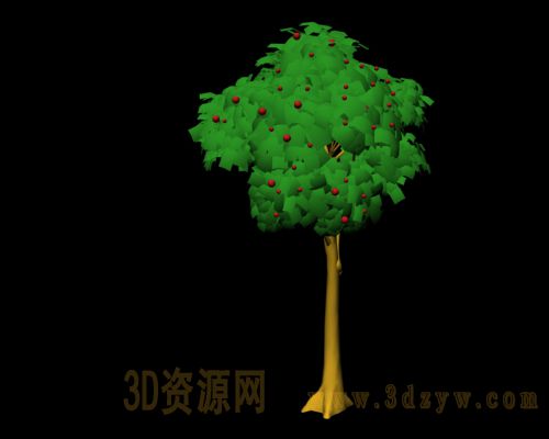 红豆杉3d模型