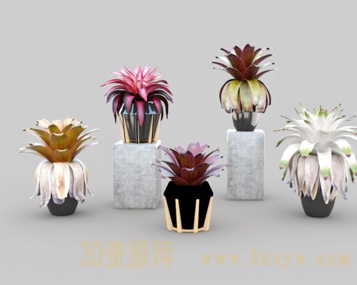植物盆景绿植模型 现代盆栽绿植模型