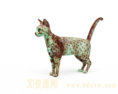 猫3d模型 小猫咪 