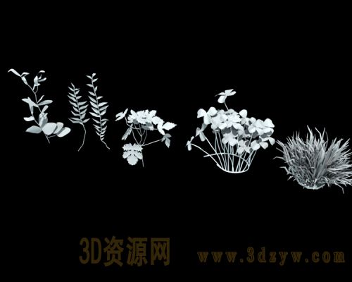maya植物模型 叶子模型 花草