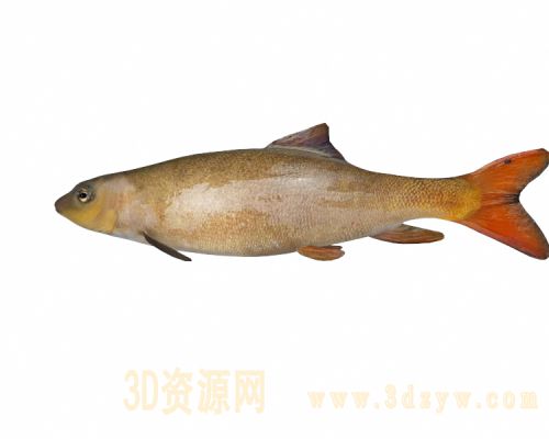 /Uploads/Images/2022-07-01/3dzyw_works_62be6d103e865.jpg