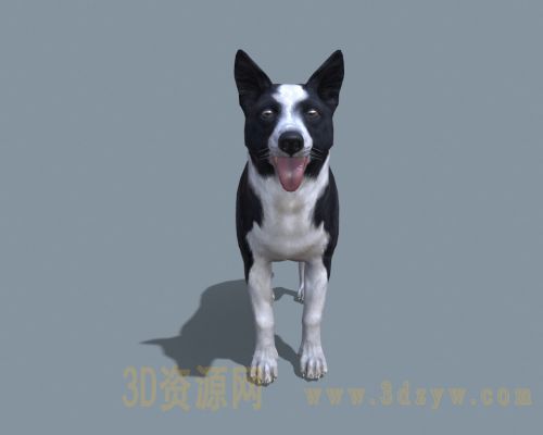 /Uploads/Images/2023-03-27/3dzyw_works_64219dbdccf74.jpg