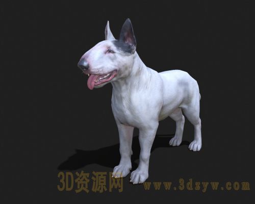 斗牛梗3d模型 斗牛犬 美国斗牛犬