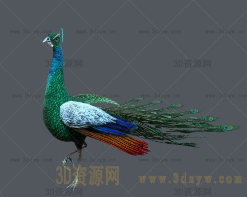 /Uploads/Images/2024-02-19/3dzyw_works_65d310654bbe6.jpg