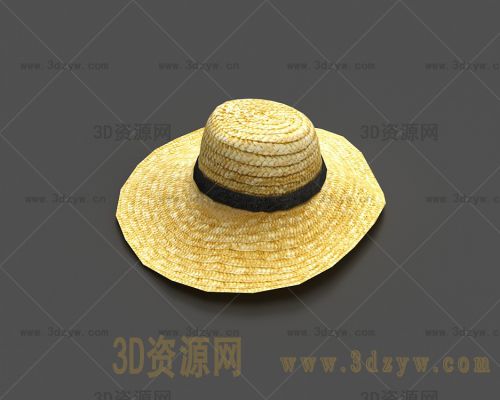 草帽模型