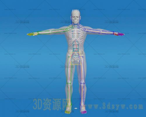 /Uploads/Images/2024-12-30/3dzyw_works_67720f9c08c3b.jpg