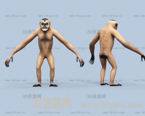 /Uploads/Images/2025-02-10/3dzyw_works_67a9b7eb1af0c.jpg