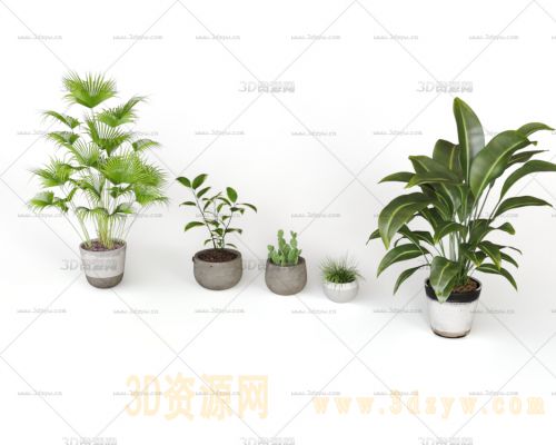 室内植物模型 室内盆栽 绿植 花草植物