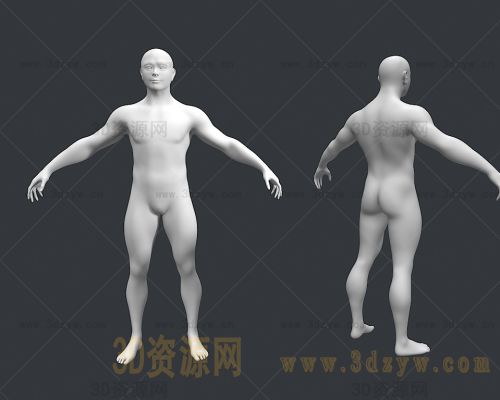 写实男人体模型