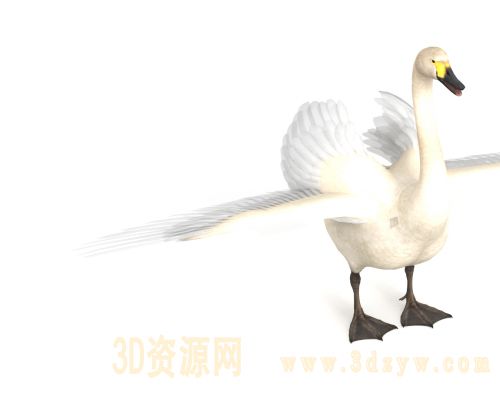 /Uploads/Images/2026-03-19/3dzyw_works_69bba2cf39d70.jpg