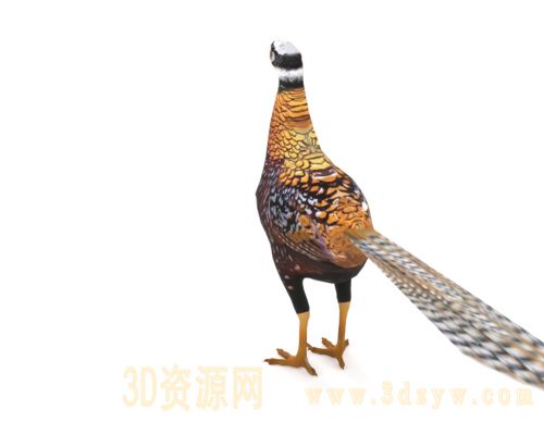 /Uploads/Images/2026-03-23/3dzyw_works_69c0de49462c6.jpg