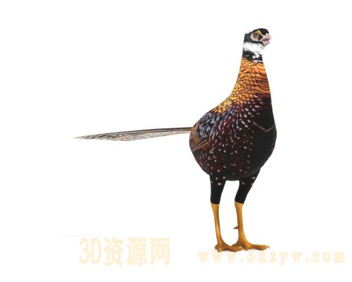 /Uploads/Images/2026-03-23/3dzyw_works_69c0de4b3ae2a.jpg