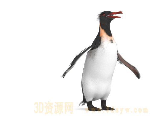 Anthropornis 巨型企鹅3d模型 史前企鹅