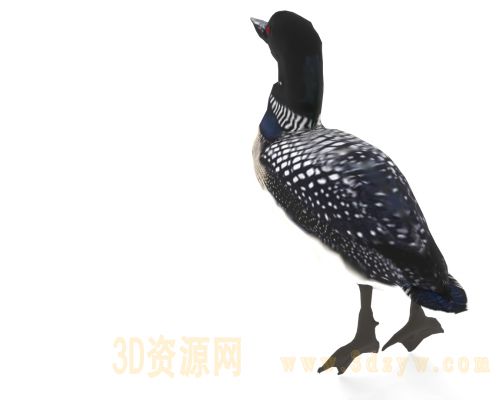 /Uploads/Images/2026-03-26/3dzyw_works_69c4a63e33875.jpg