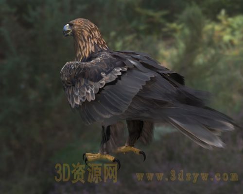 /Uploads/Images/2026-03-31/3dzyw_works_69cb735905903.jpg