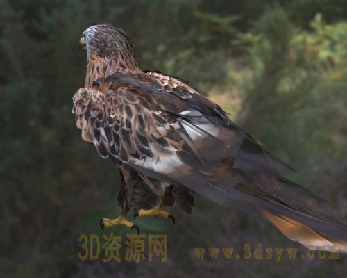 /Uploads/Images/2026-03-31/3dzyw_works_69cb7af4c8909.jpg