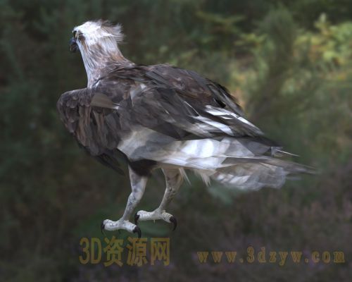 /Uploads/Images/2026-03-31/3dzyw_works_69cb92340d598.jpg