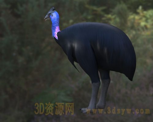 /Uploads/Images/2026-03-31/3dzyw_works_69cba2e681fa1.jpg