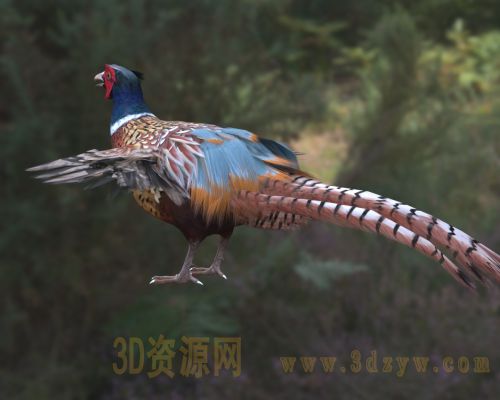 /Uploads/Images/2026-04-01/3dzyw_works_69ccbc1f28305.jpg
