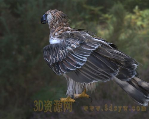 /Uploads/Images/2026-04-01/3dzyw_works_69ccccb9c8695.jpg