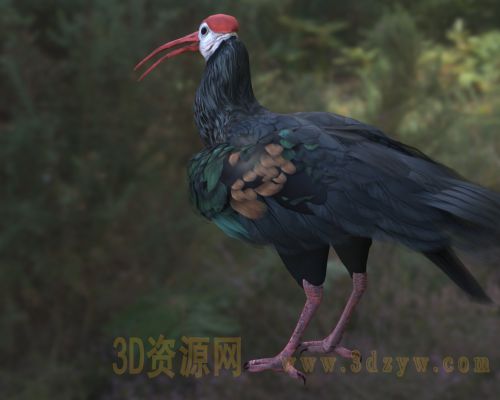 /Uploads/Images/2026-04-03/3dzyw_works_69cf74abc0a4c.jpg