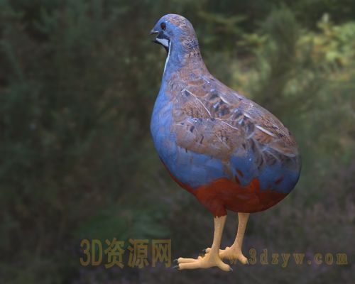/Uploads/Images/2026-04-07/3dzyw_works_69d4c5367fe28.jpg