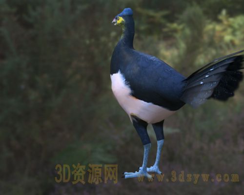 /Uploads/Images/2026-04-07/3dzyw_works_69d4d33187efa.jpg