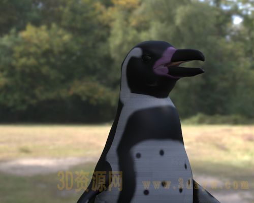 /Uploads/Images/2026-04-07/3dzyw_works_69d4d66fdb322.jpg