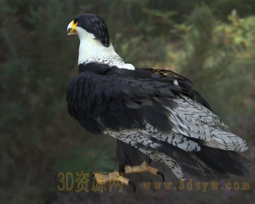 /Uploads/Images/2026-04-08/3dzyw_works_69d5c6c6302b4.jpg