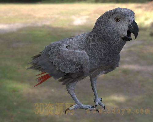 /Uploads/Images/2026-04-08/3dzyw_works_69d5ee53aa36c.jpg
