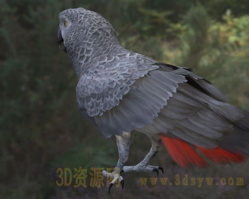 /Uploads/Images/2026-04-08/3dzyw_works_69d5ee55a206d.jpg