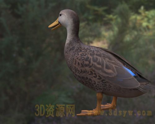 /Uploads/Images/2026-04-08/3dzyw_works_69d60bc51a30a.jpg