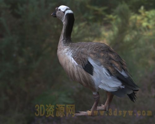 /Uploads/Images/2026-04-09/3dzyw_works_69d73c89af9d4.jpg