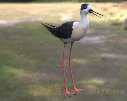 /Uploads/Images/2026-04-09/3dzyw_works_69d74974bd7c6.jpg
