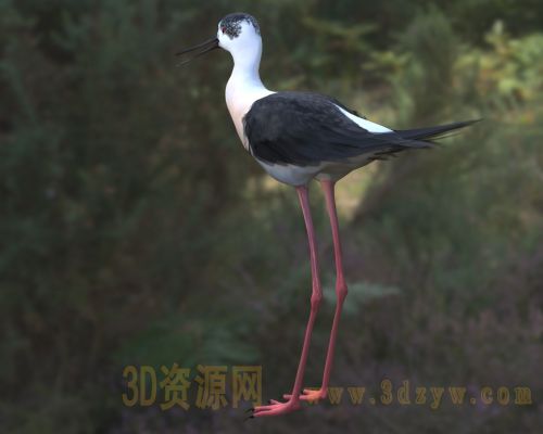 /Uploads/Images/2026-04-09/3dzyw_works_69d74978d068d.jpg