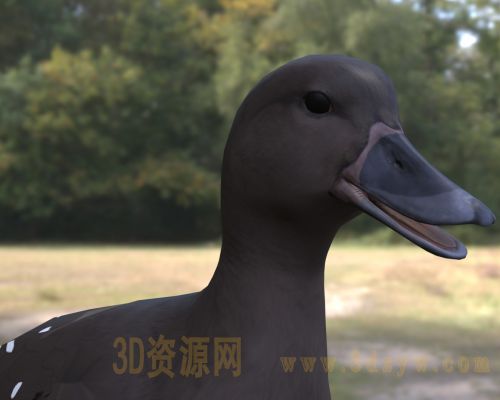 /Uploads/Images/2026-04-09/3dzyw_works_69d759f0562f1.jpg