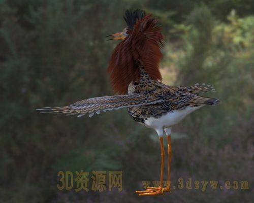 /Uploads/Images/2026-04-10/3dzyw_works_69d891beb41af.jpg